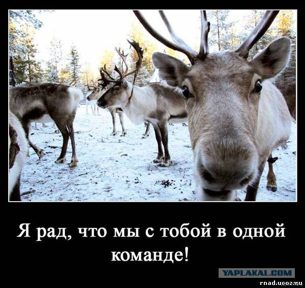 Внезапно!