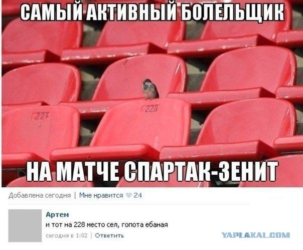 Смешные комментарии из социальных сетей