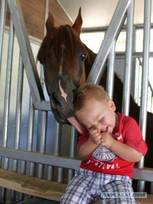 Подборка забавных и курьезных фотографий