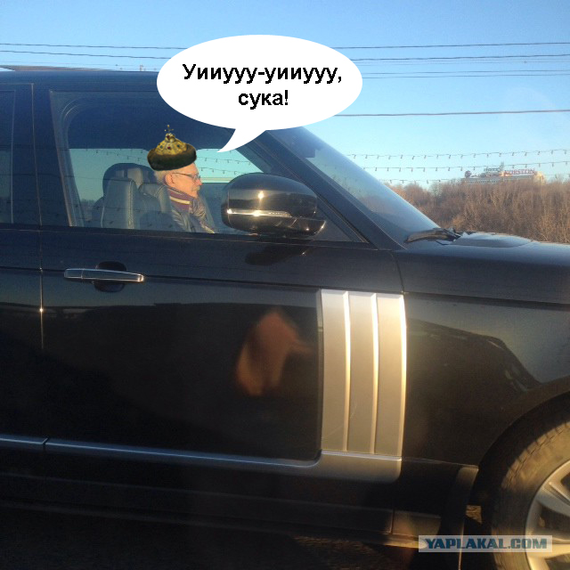 Кого только не встретишь
