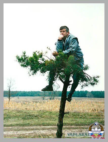 Добряки, плюсующие всех подряд