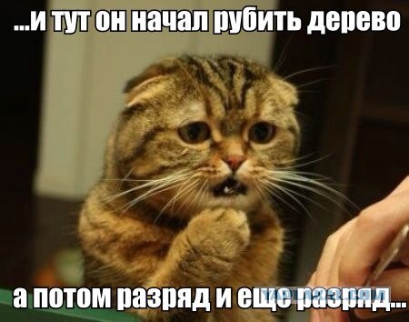 Фотожабы про спасение Барсика