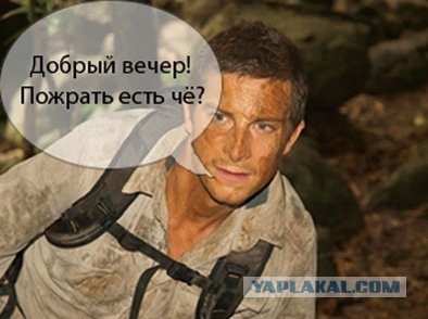 Личинки в KFC