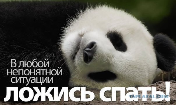 Пост единственно верных действий