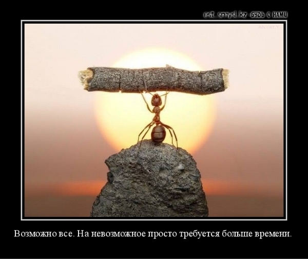 Давно демотиваторов не было