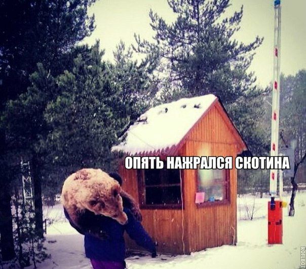 Весёлое из сети