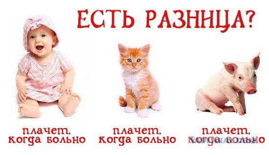 Веган-мама.