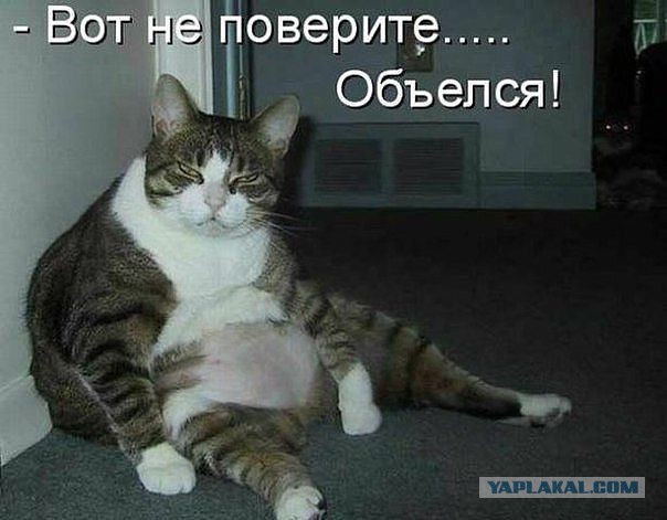 Картинки из этих ваших интернетов
