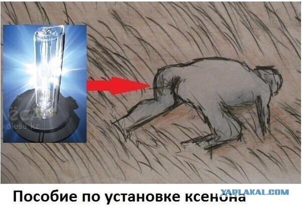 Времена нынче тёмные