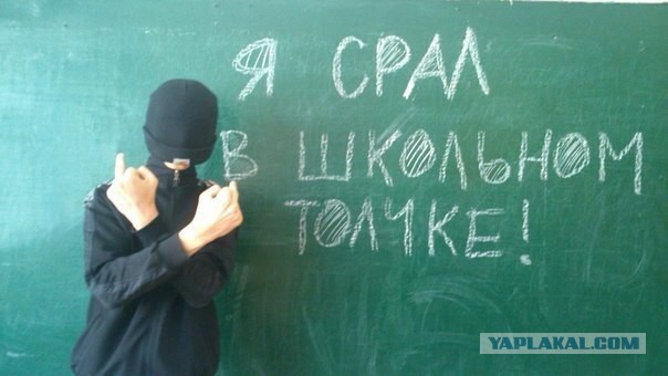 Забавные картинки из интернетов