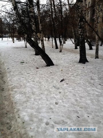 Люберцы - филиал ада в Подмосковье