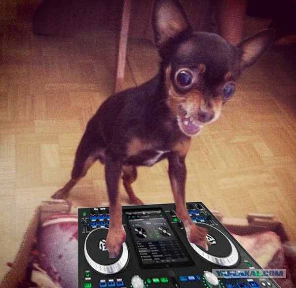 Хозяин