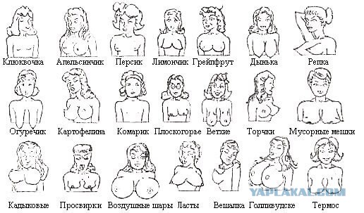 Как же её не ломает от такого веса...