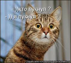 Перднуть на улице