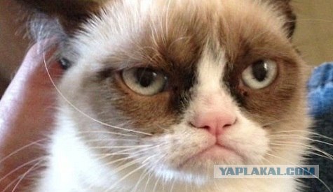 Скорее всего он не ждет