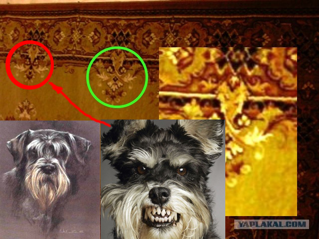 Ты снова упорот?