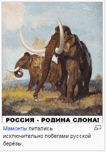 Обычное дело в Тюмени