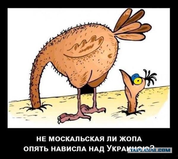 10 политических картинок часть 14
