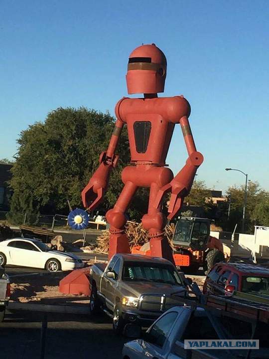 Подборка веселых картинок