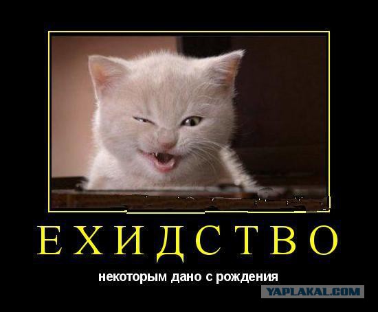 Как отобрать у сестренки планшет