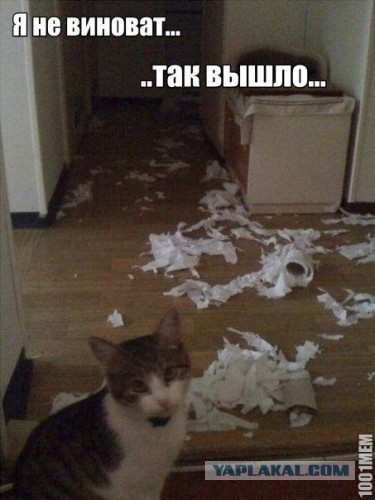 Веселые картинки