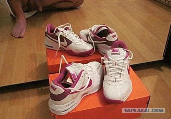 19 фотографий, где фон намного интересней переднего плана