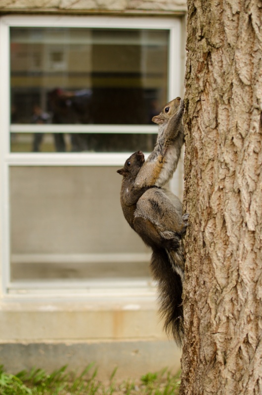Подборка картинок 01.03.16