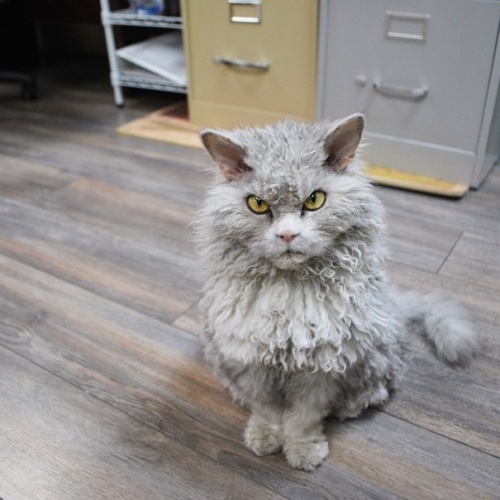 Взгляд
