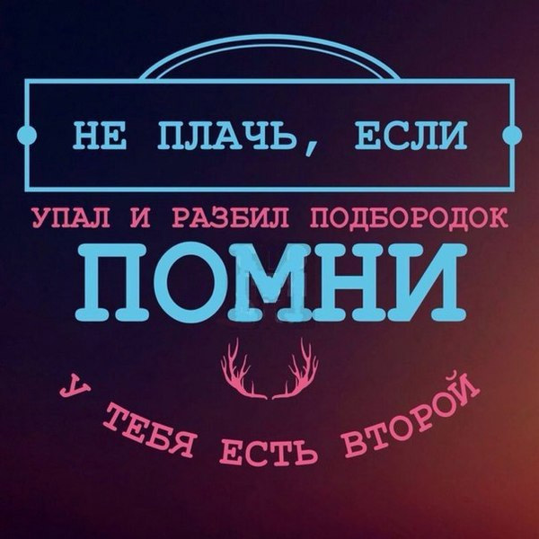 Забавные картинки из Сети