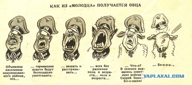 Фотографии военных лет
