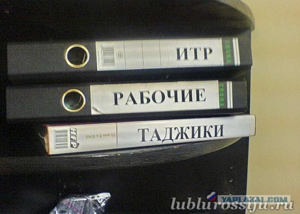 Пусть патриоты - таджики сидят дома!