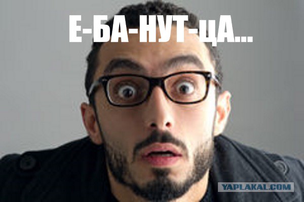 "Жучка" шпарит