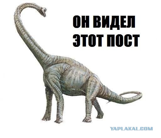 У вас там забилось