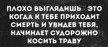 Весёлые картинки