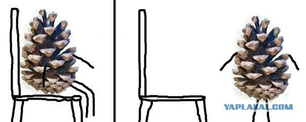 Горячие представительницы соцсетей.