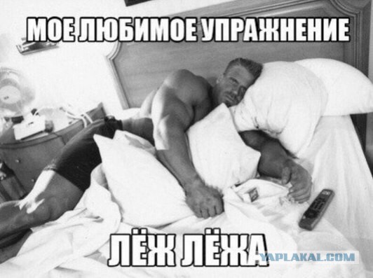 Смешные картинки из сети на 26.10.16