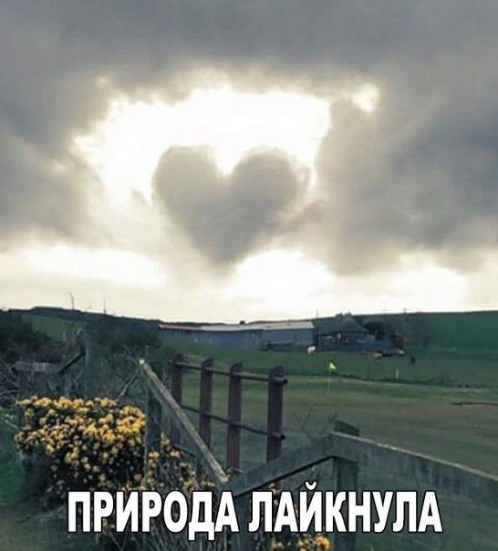 Фото-коктейль...
