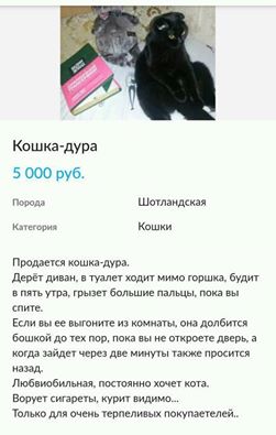 Порция абсурдного юмора на следующую неделю