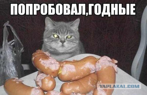 Колбасу нужно проверять на кошках.