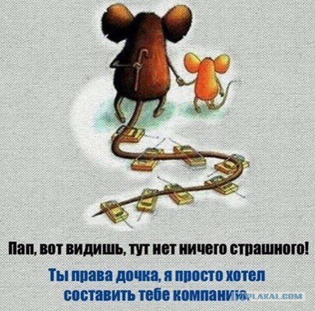 Автомобиль влетел в пешеходов в США