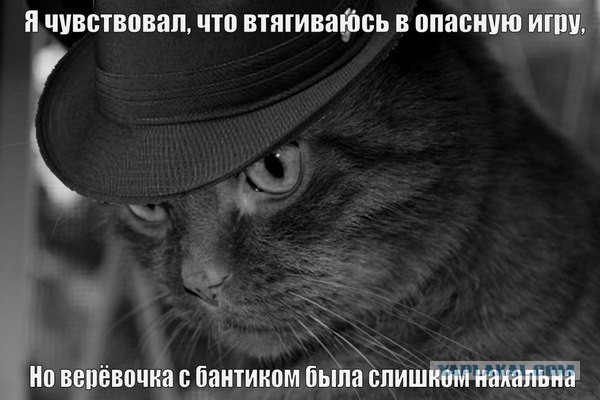Люди, которых поймут интроверты