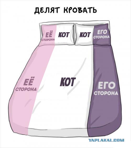 С какой стороны муж должен спать от жены?