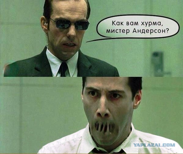 Самые известные мемы в истории Интернета