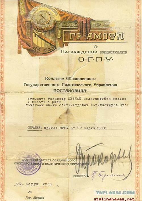 Редкие исторические фотографии