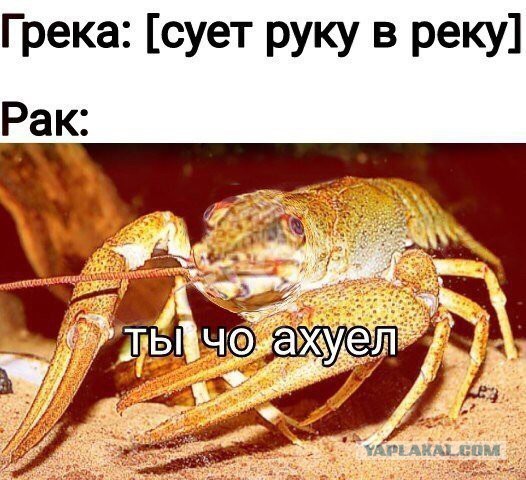 Не очень адекватный юмор