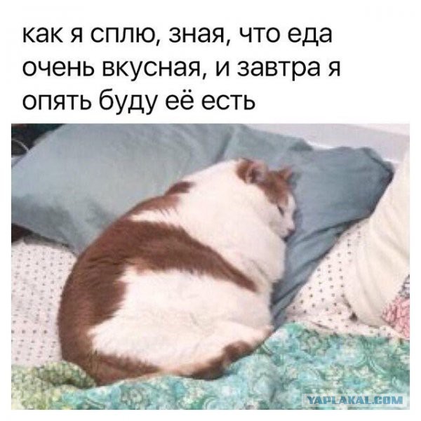 Плов домашний