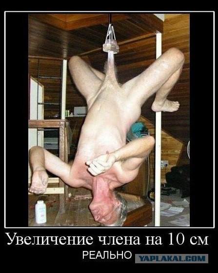 Чудики из социальных сетей