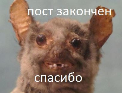 Немного картинок в этот субботний вечр