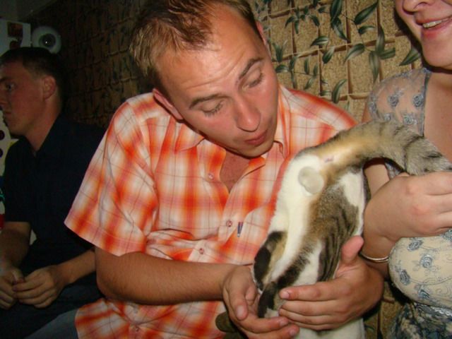 Котовторник  на  ЯПлакалъ