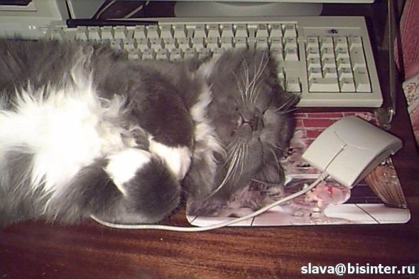 Ну вот когда же уже эта неделя закончится?!